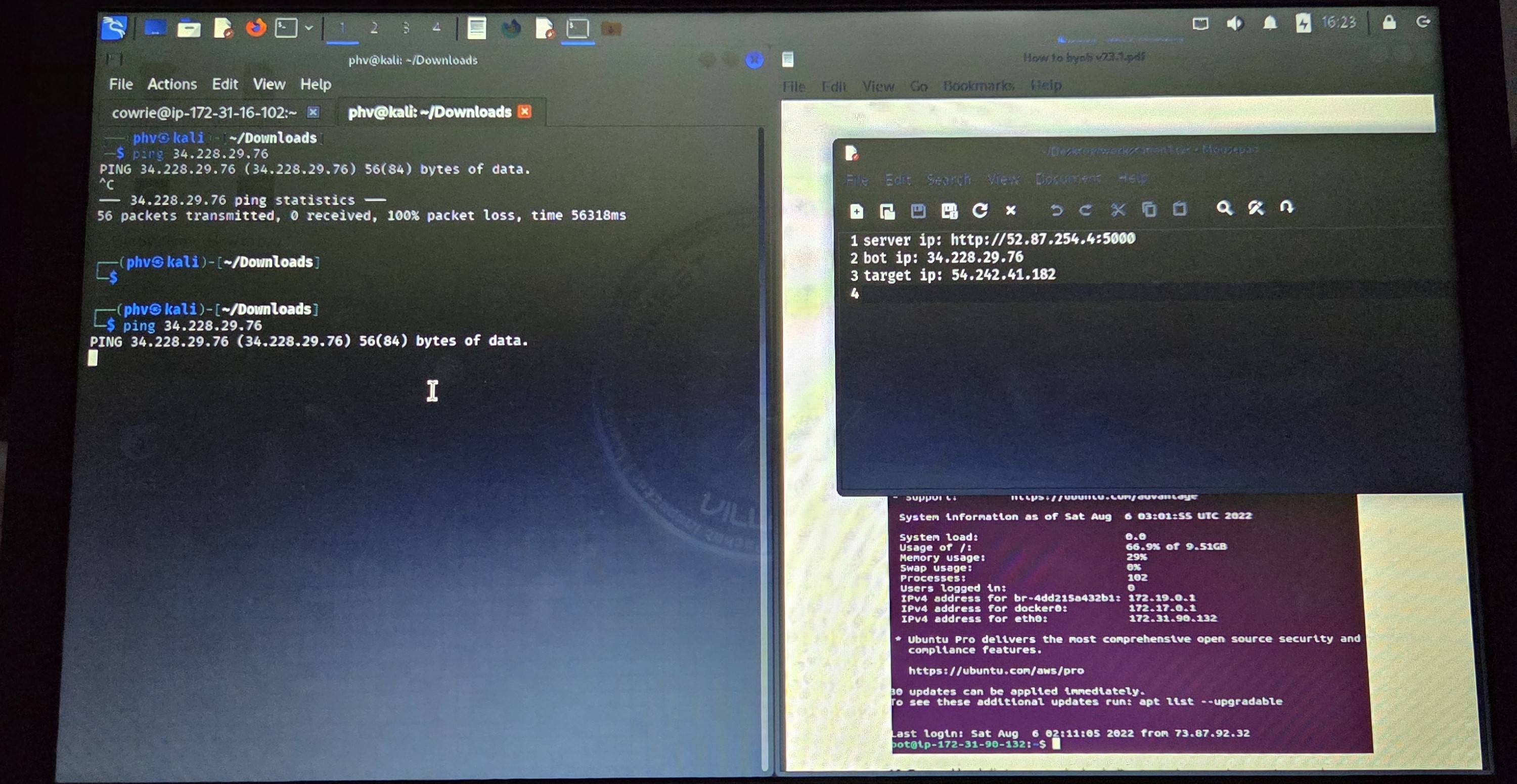Botnet Lab